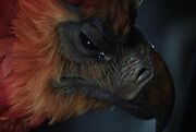 Fawkes2