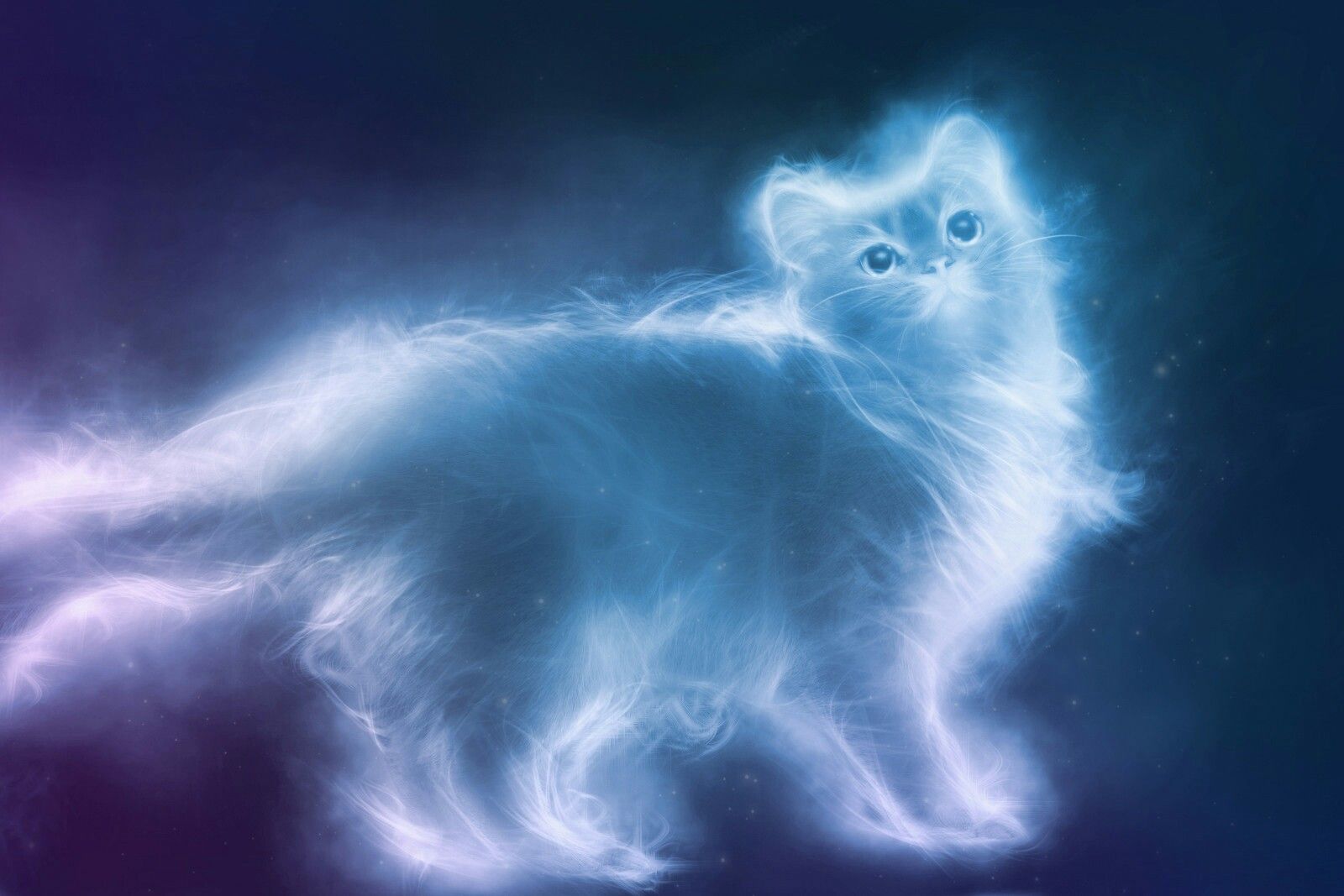 Ginerva McGonagall Patronus Cat | Spirit animal quiz, What animal are you,  Your spirit animal
